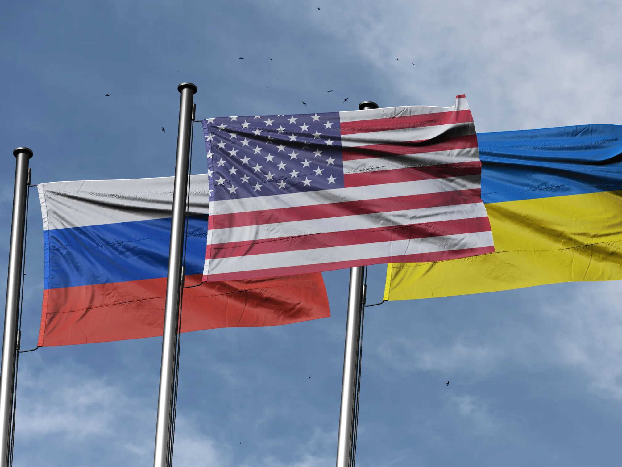 Foto-standaard-3.png (1)